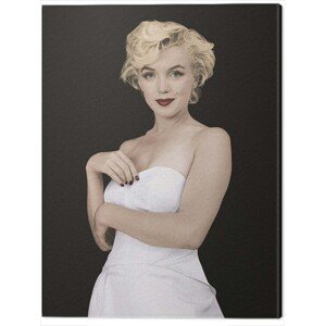 Obraz na plátně Marilyn Monroe - Pose, 2 - 60×80 cm
