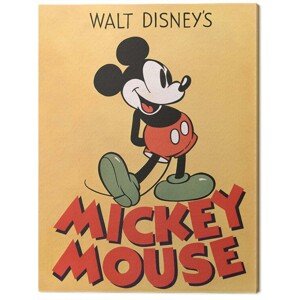 Obraz na plátně Mickey Mouse, 2 - 30×40 cm