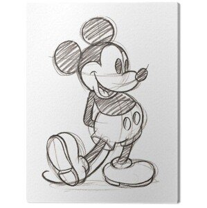 Obraz na plátně Mickey Mouse - Single, 2 - 40×50 cm
