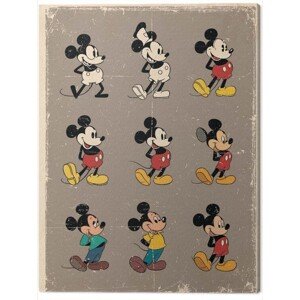 Obraz na plátně Mickey Mouse, 2 - 40×50 cm