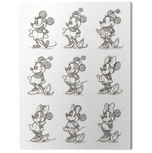 Obraz na plátně Minnie - Multi, 2 - 30×40 cm
