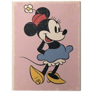 Obraz na plátně Minnie - Retro, 2 - 30×40 cm
