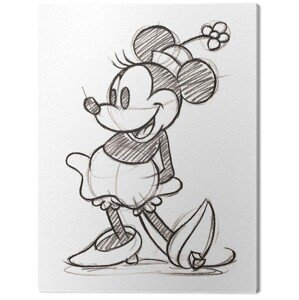 Obraz na plátně Minnie - Single, 2 - 30×40 cm
