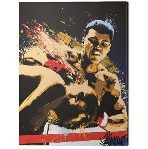 Obraz na plátně Muhammad Ali - Stung, 2 - 30×40 cm