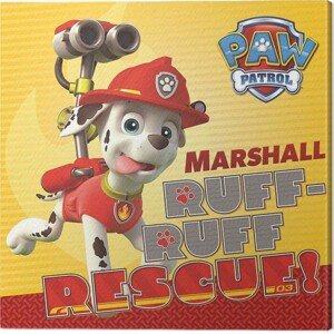 Obraz na plátně Paw Patrol - Marshall, 2 - 30×30 cm