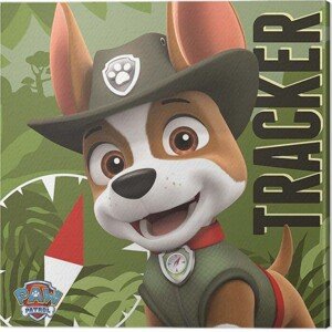 Obraz na plátně Paw Patrol - Tracker, 2 - 40×40 cm