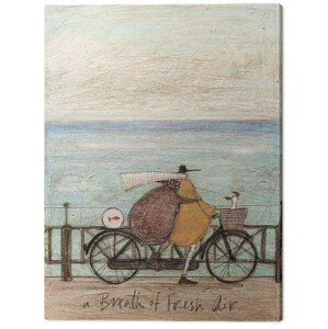 Obraz na plátně Sam Toft - A Breath of Fresh Air, 2 - 30×40 cm