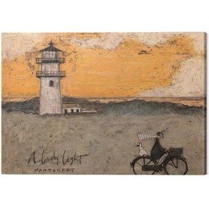 Obraz na plátně Sam Toft - A Lovely Light, Nantucker, 2 - 40×30 cm