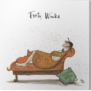 Obraz na plátně Sam Toft - Forty Winks, 2 cm - 30×30 cm