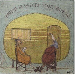 Obraz na plátně Sam Toft - Home is Where the Dog is, 2 - 40×40 cm