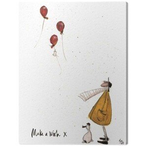 Obraz na plátně Sam Toft - Make a Wish, 2 - 30×40 cm