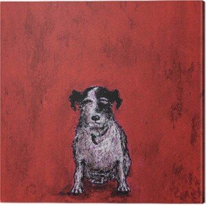 Obraz na plátně Sam Toft - Small Dog, 2 - 40×40 cm