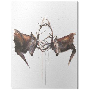 Obraz na plátně Sarah Stokes - Headstrong, 2 - 80×60 cm