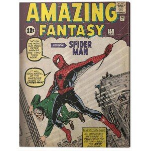 Obraz na plátně Spider-Man - Issue 1, 2 - 30×40 cm
