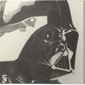 Obraz na plátně Star Wars - Darth Vader, 2 - 30×30 cm