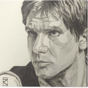 Obraz na plátně Star Wars - Han Solo, 2 - 30×30 cm