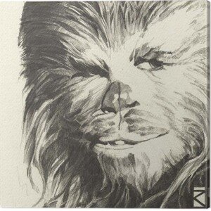 Obraz na plátně Star Wars - Chewbacca, 2 - 30×30 cm