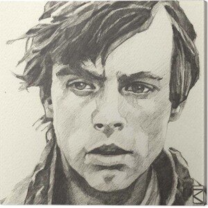 Obraz na plátně Star Wars - Luke Skywalker, 2 - 30×30 cm