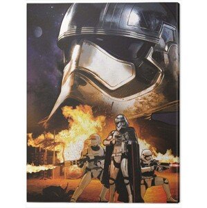 Obraz na plátně Star Wars Episode VII - Captain Phasma Art, 2 - 60×80 cm