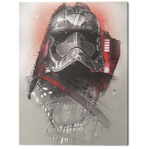 Obraz na plátně Star Wars The Last Jedi - Captain Phasma Brushstroke, 2 - 60×80 cm