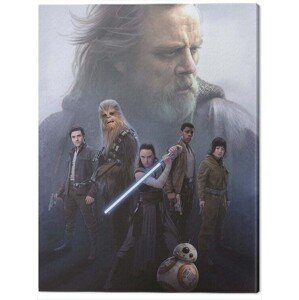 Obraz na plátně Star Wars The Last Jedi - Hope, 2 - 60×80 cm