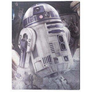 Obraz na plátně Star Wars The Last Jedi - R2 - D2 Droid, 2 - 60×80 cm