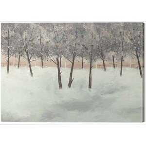 Obraz na plátně Stuart Roy - Silver Trees on White, 2 - 60×80 cm