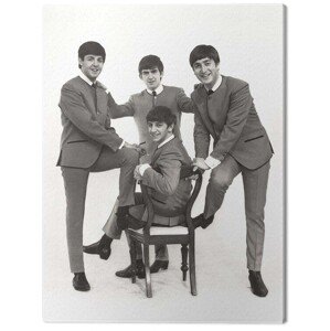 Obraz na plátně The Beatles - Chair, 2 - 60×80 cm