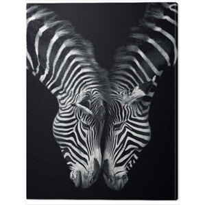 Obraz na plátně Marina Cano - Together, 2 - 30×40 cm