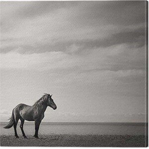 Obraz na plátně Carys Jones - Contemplation, 2 - 60×60 cm