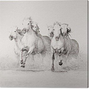 Obraz na plátně Carys Jones - Splash, 2 - 60×60 cm