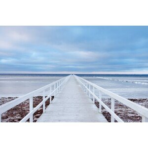 Fotografie The bridge, Jacek Oleksinski, 40 × 26.7 cm