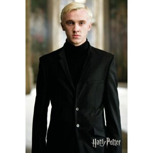 Umělecký tisk Harry Potter - Draco Malfoy, 26.7 × 40 cm