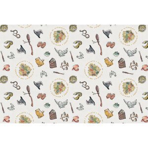 Umělecký tisk Harry Potter - Charming Vintage, 40 × 26.7 cm