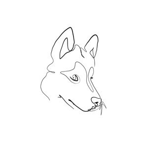 Ilustrace Wolf, Hugo Jurčík, 30 × 40 cm
