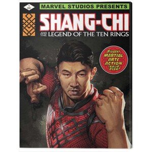 Obraz na plátně Shang Chi and the Legend of the Ten Rings, 2 - 60×80 cm