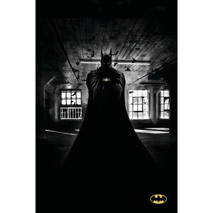 Umělecký tisk Batman - Beauty of Flight, 26.7 × 40 cm