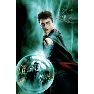 Umělecký tisk Harry Potter  - Only one can survive, 26.7 × 40 cm