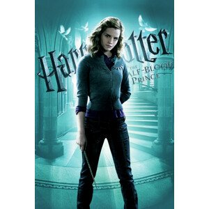 Umělecký tisk Harry Potter - Princ dvojí krve, 26.7 × 40 cm