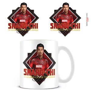Hrnek Shang Chi and the Lengend of the Ten Rings - Framed Hero, 0,3 l
