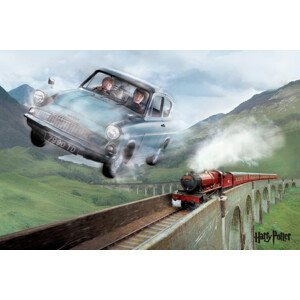 Umělecký tisk Harry Potter - Ford, 40 × 26.7 cm