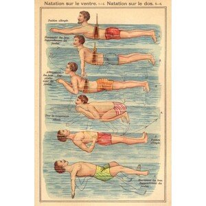 Plakát, Obraz - Friedrich Eduard Bilz - Natation, 91.5 × 61 cm