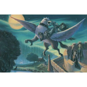 Umělecký tisk Harry Potter - Gryff, 40 × 26.7 cm