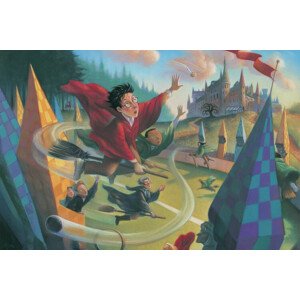 Umělecký tisk Harry Potter - Quidditch, 40 × 26.7 cm