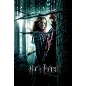 Umělecký tisk Harry Potter - Relikvie smrti, 26.7 × 40 cm