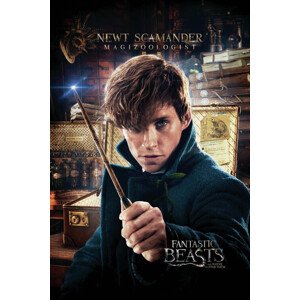Umělecký tisk Fantastická zvířata - Mlok Scamander, 26.7 × 40 cm
