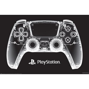 Plakát, Obraz - PlayStation - X-Ray Pad, 91.5 × 61 cm