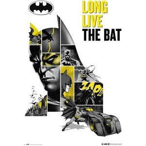 Plakát, Obraz - Batman - 80th Anniversary, 61 × 91.5 cm