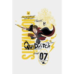 Umělecký tisk Harry Potter - Quidditch 07, 26.7 × 40 cm