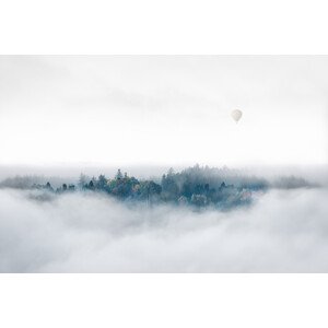 Fotografie Misty Morning Surprise, Matthias Bergolth, 40 × 26.7 cm